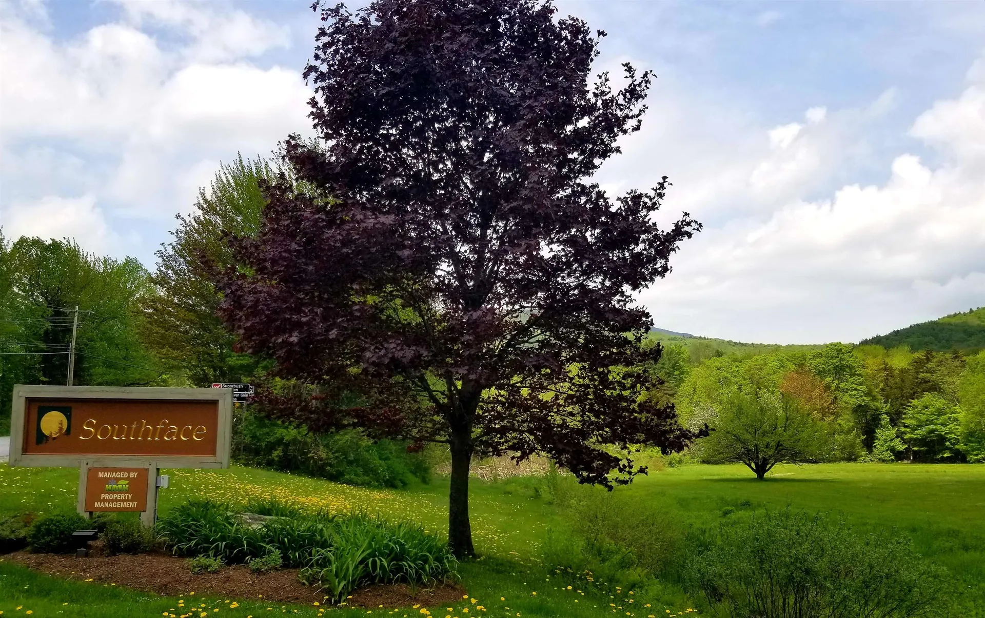 48 Lexington Avenue Warren VT 05674