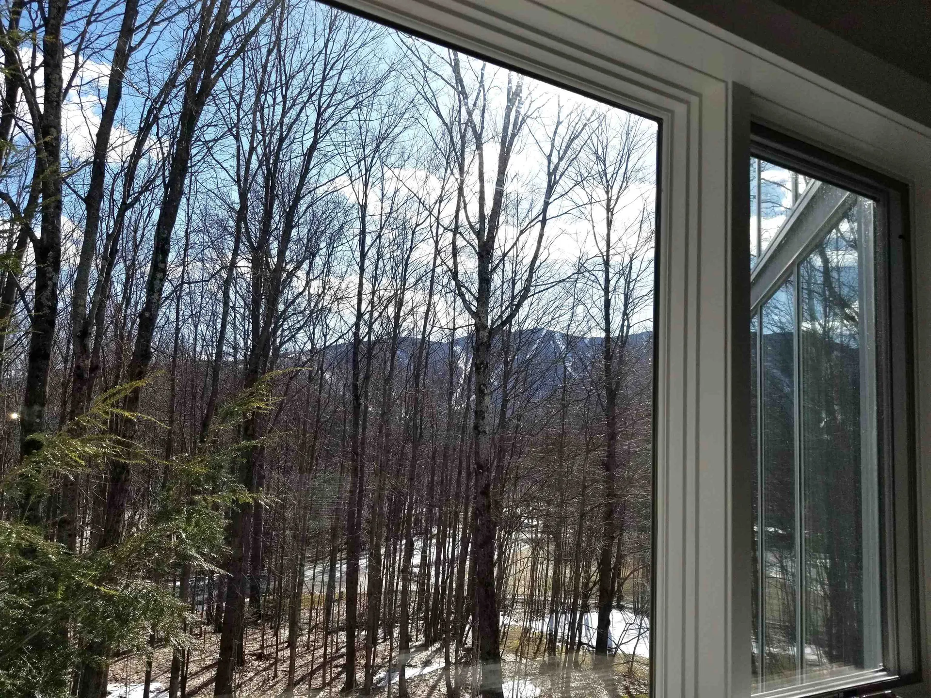 48 Lexington Avenue Warren VT 05674