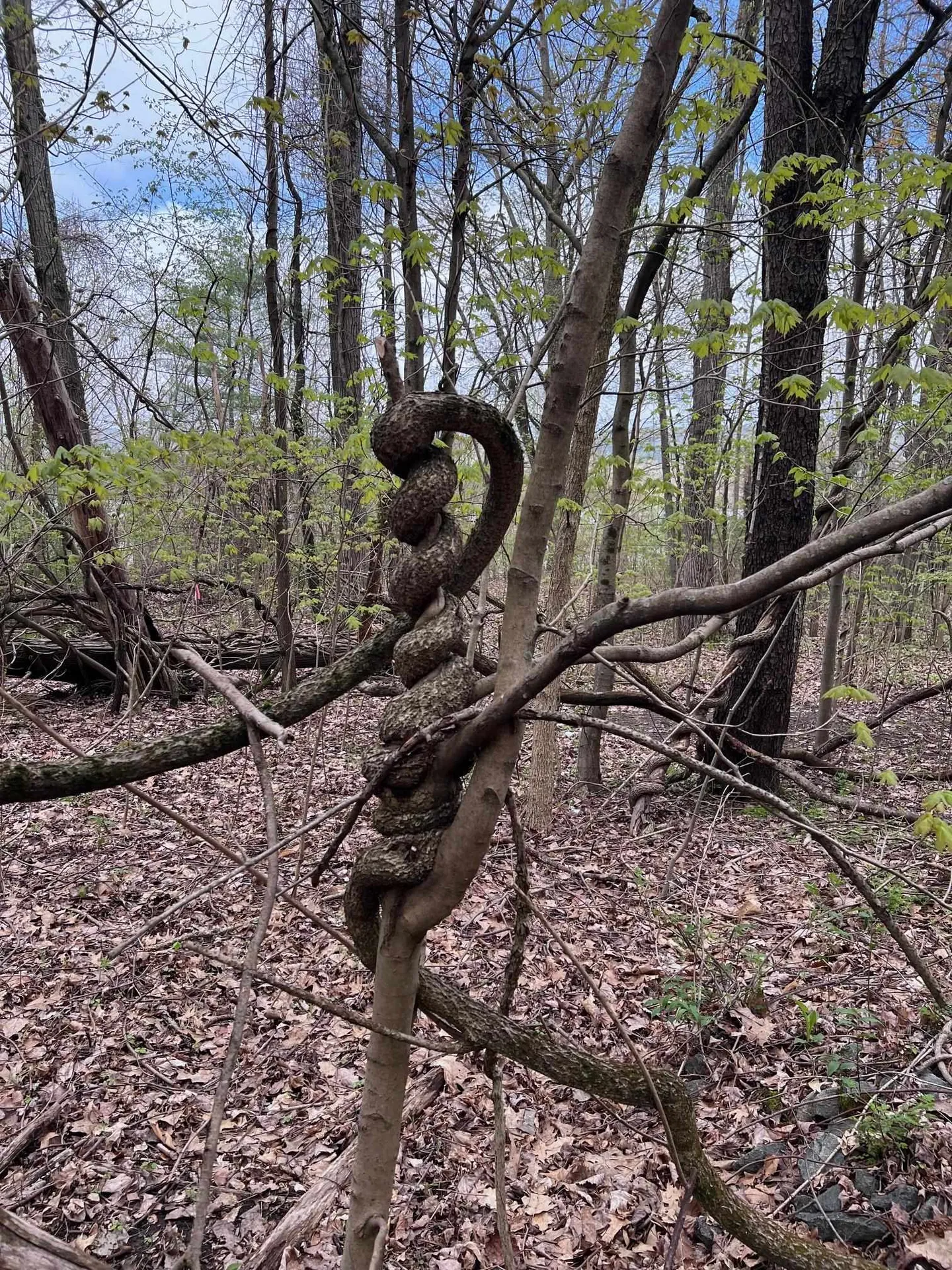 00 Brattleboro Road Hinsdale NH 03451