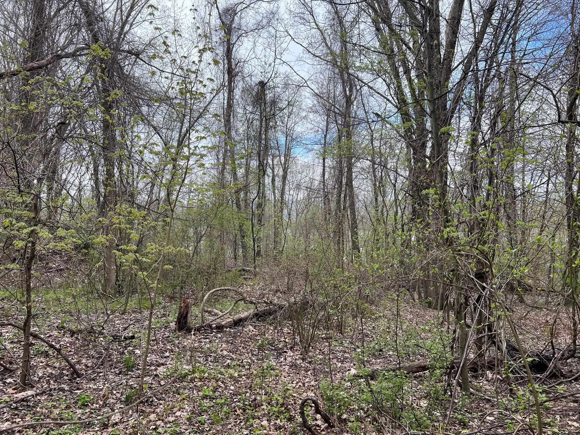 00 Brattleboro Road Hinsdale NH 03451