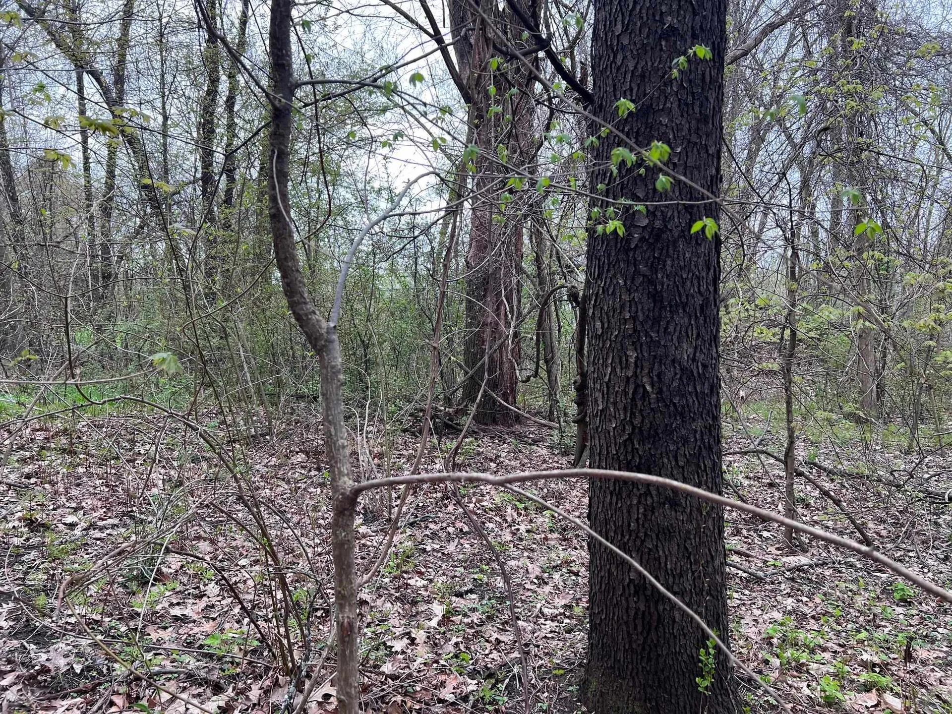 00 Brattleboro Road Hinsdale NH 03451