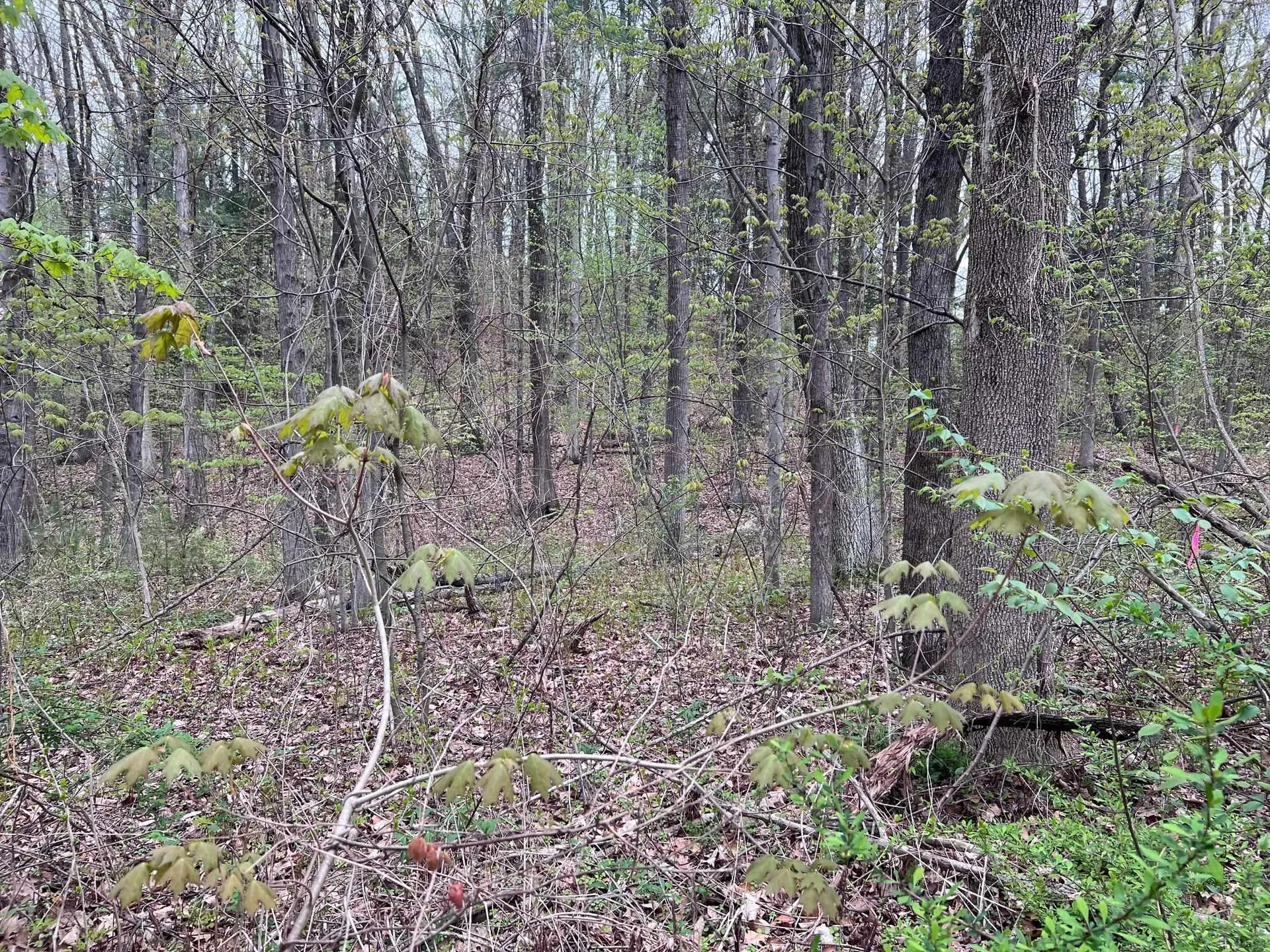 00 Brattleboro Road Hinsdale NH 03451