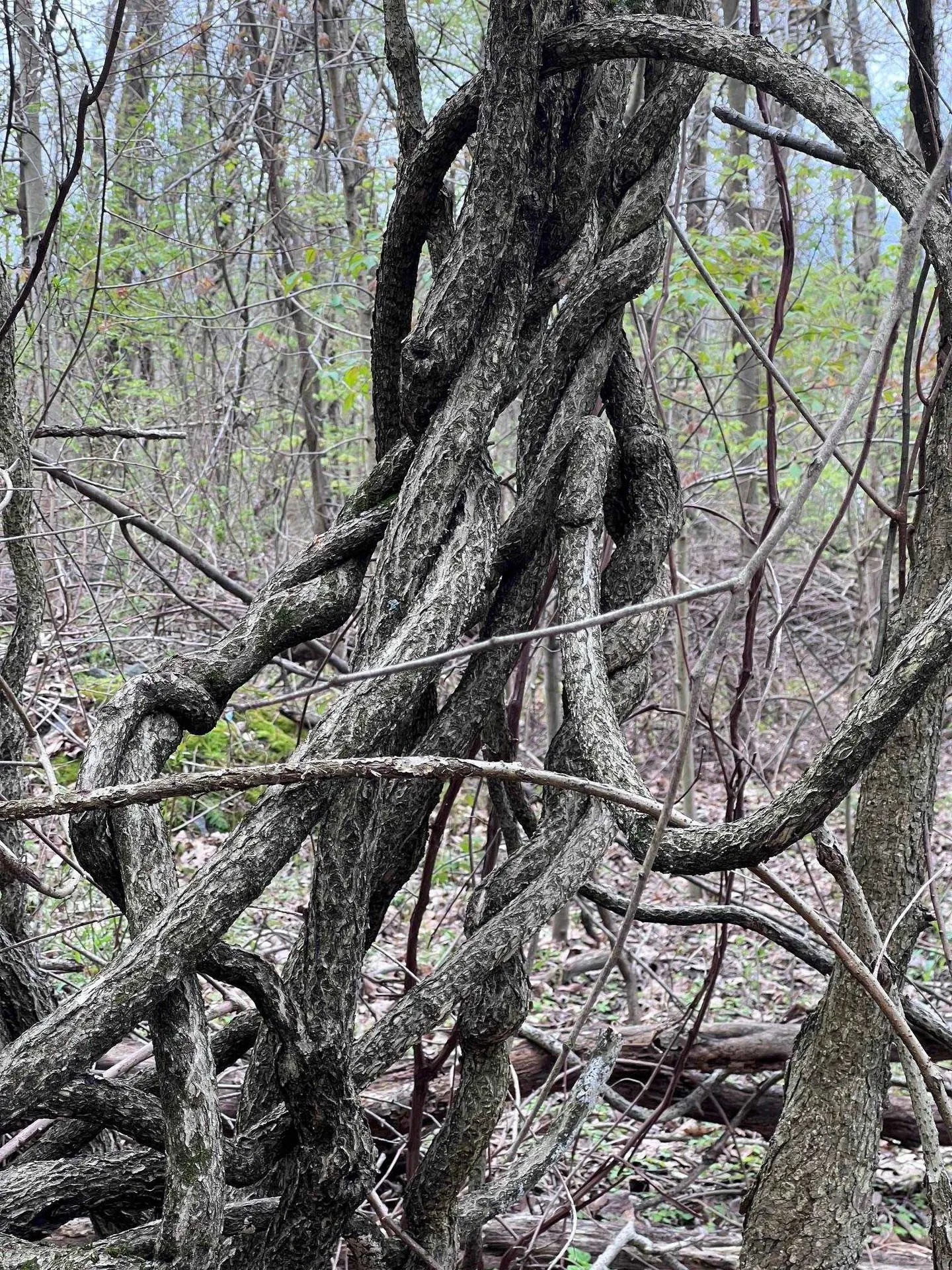 00 Brattleboro Road Hinsdale NH 03451