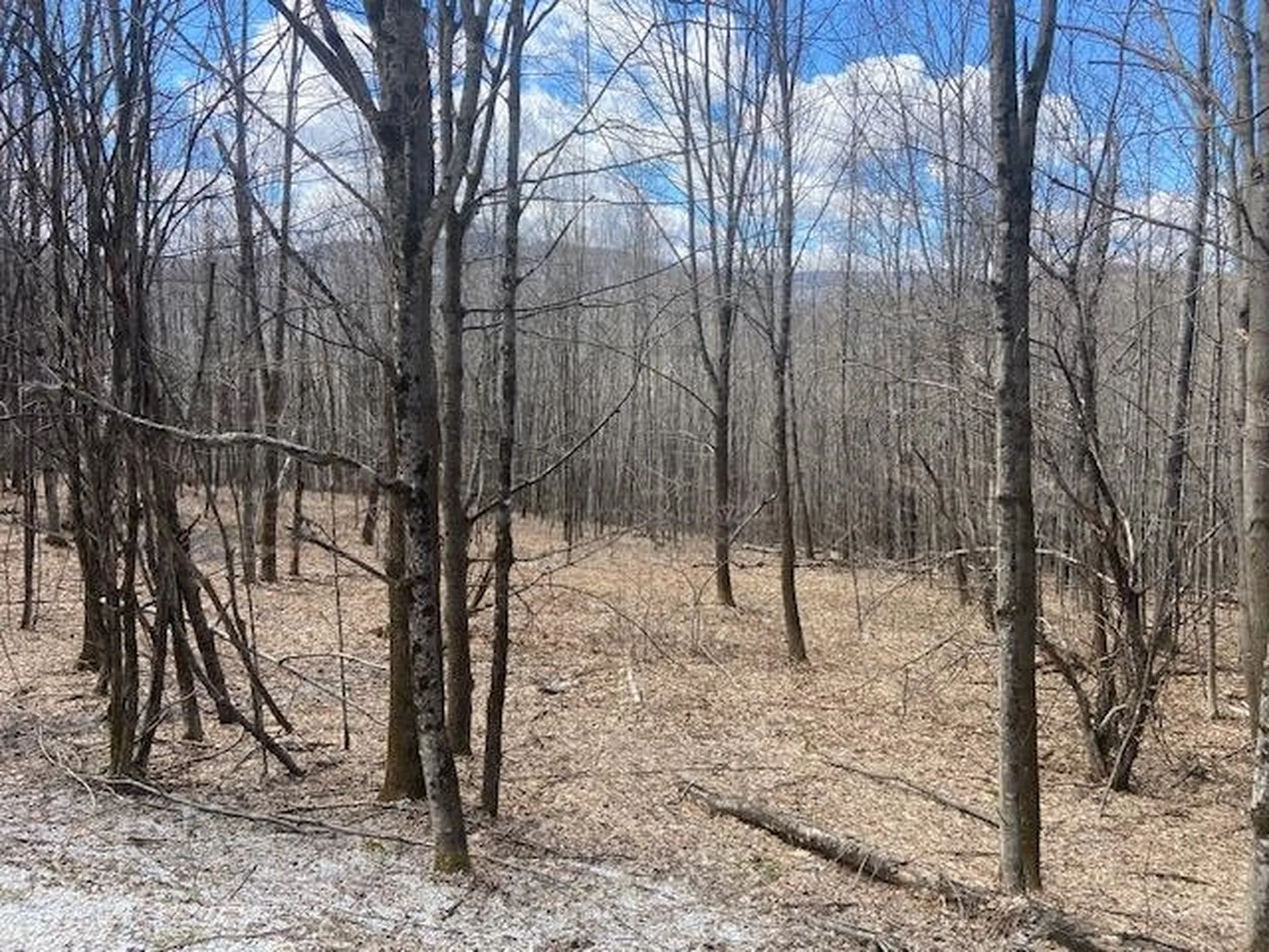 165 Falcon Loop West Rochester VT 05767