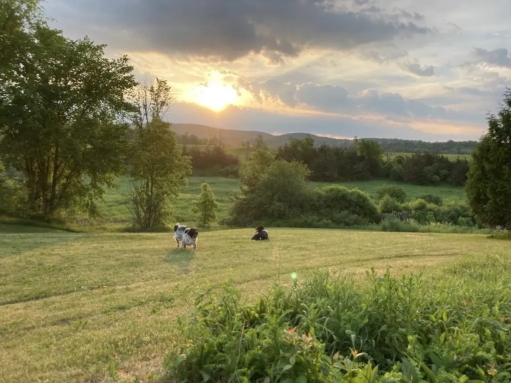 1367 Town Line Road Bridport VT 05734
