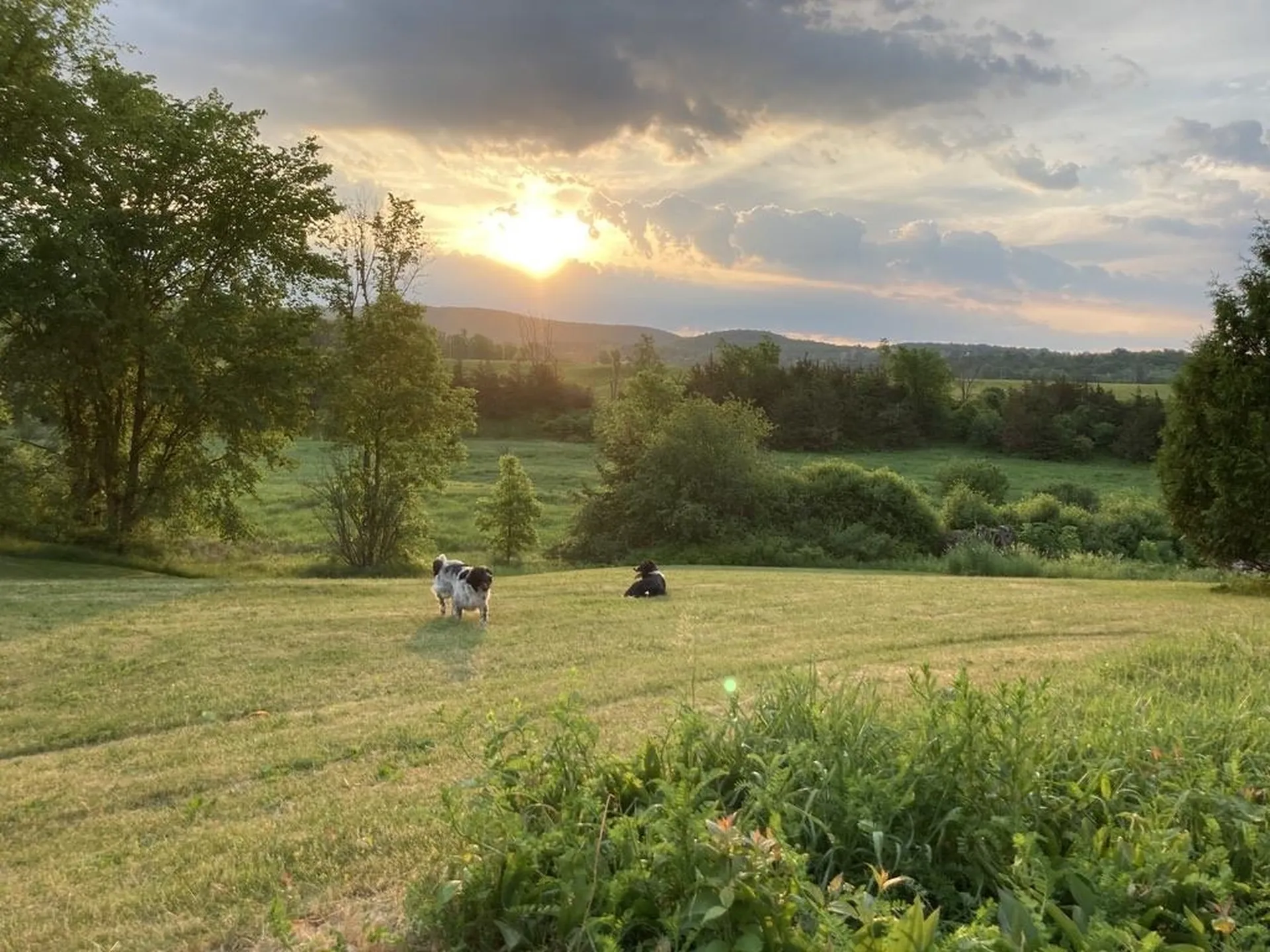 1367 Town Line Road Bridport VT 05734