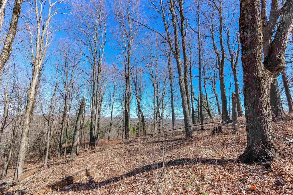 601 Cabot Plains Road Cabot VT 05647