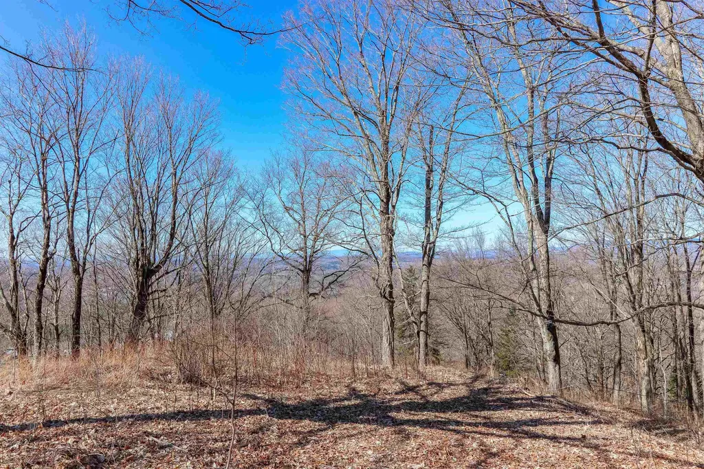 601 Cabot Plains Road Cabot VT 05647