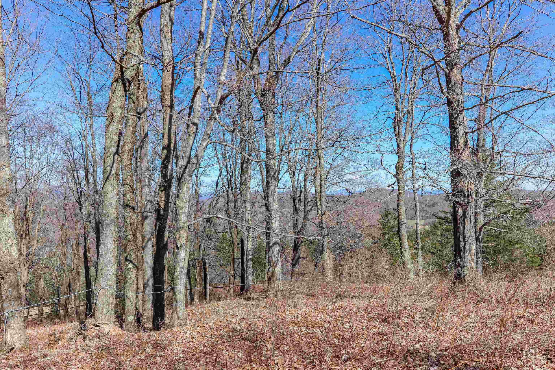 601 Cabot Plains Road Cabot VT 05647