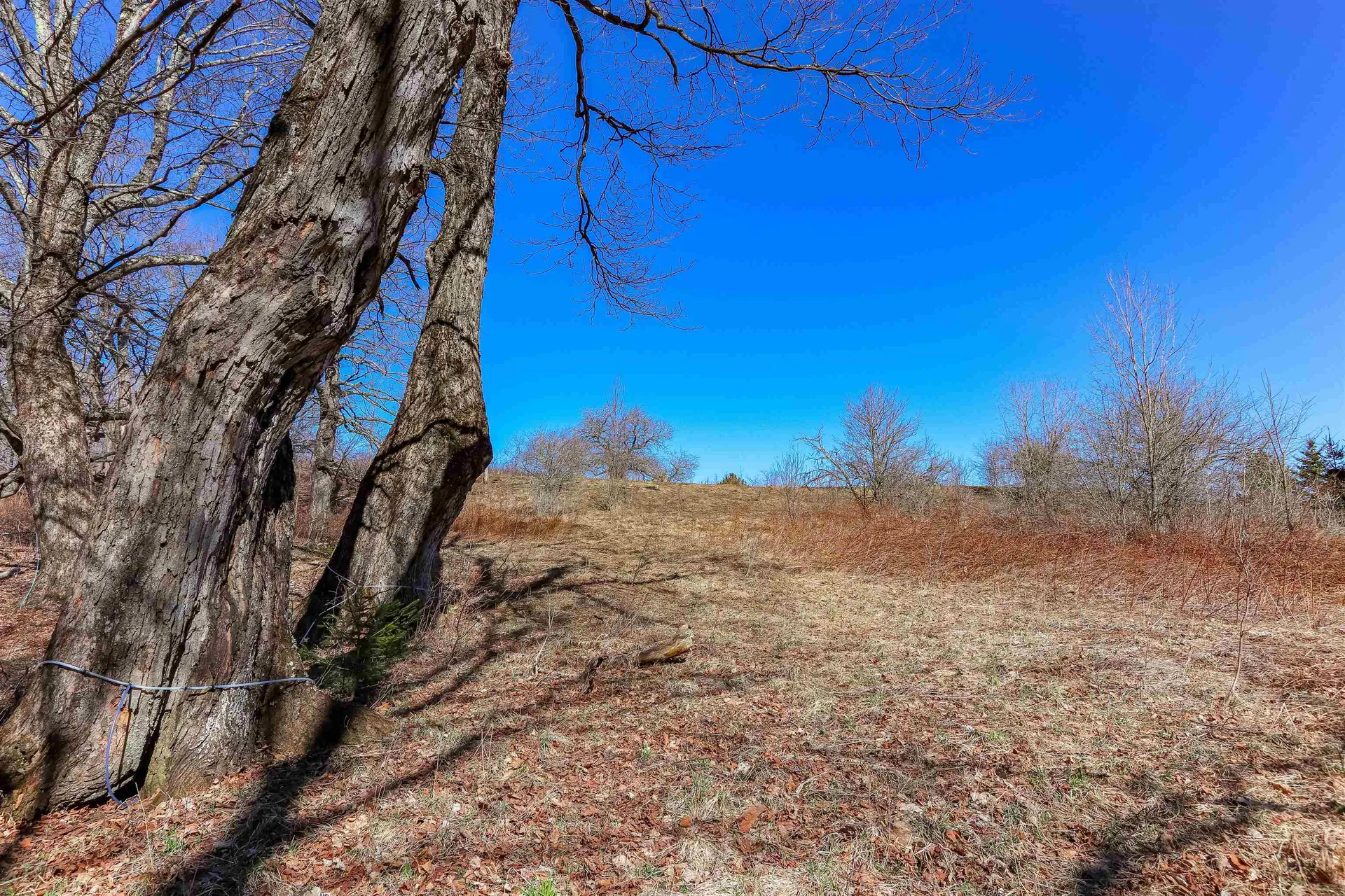 601 Cabot Plains Road Cabot VT 05647
