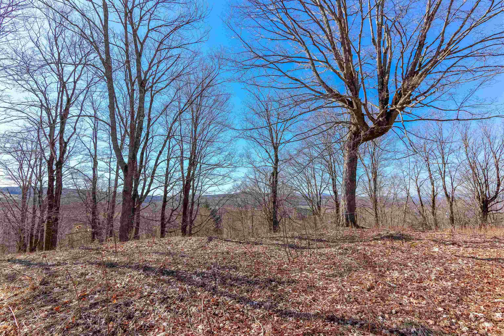 601 Cabot Plains Road Cabot VT 05647