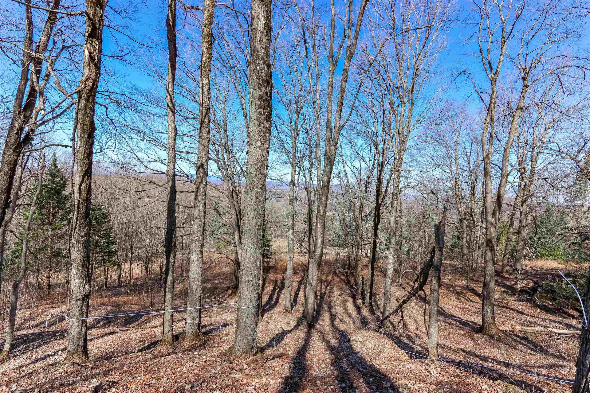 601 Cabot Plains Road Cabot VT 05647