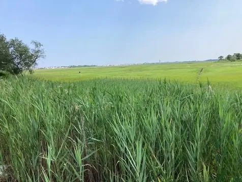 308 Route 286 Seabrook NH 03874