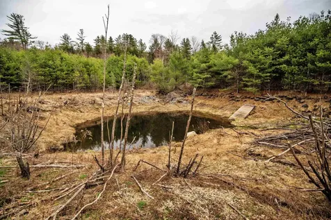 65 Old Stage Road Langdon NH 03602