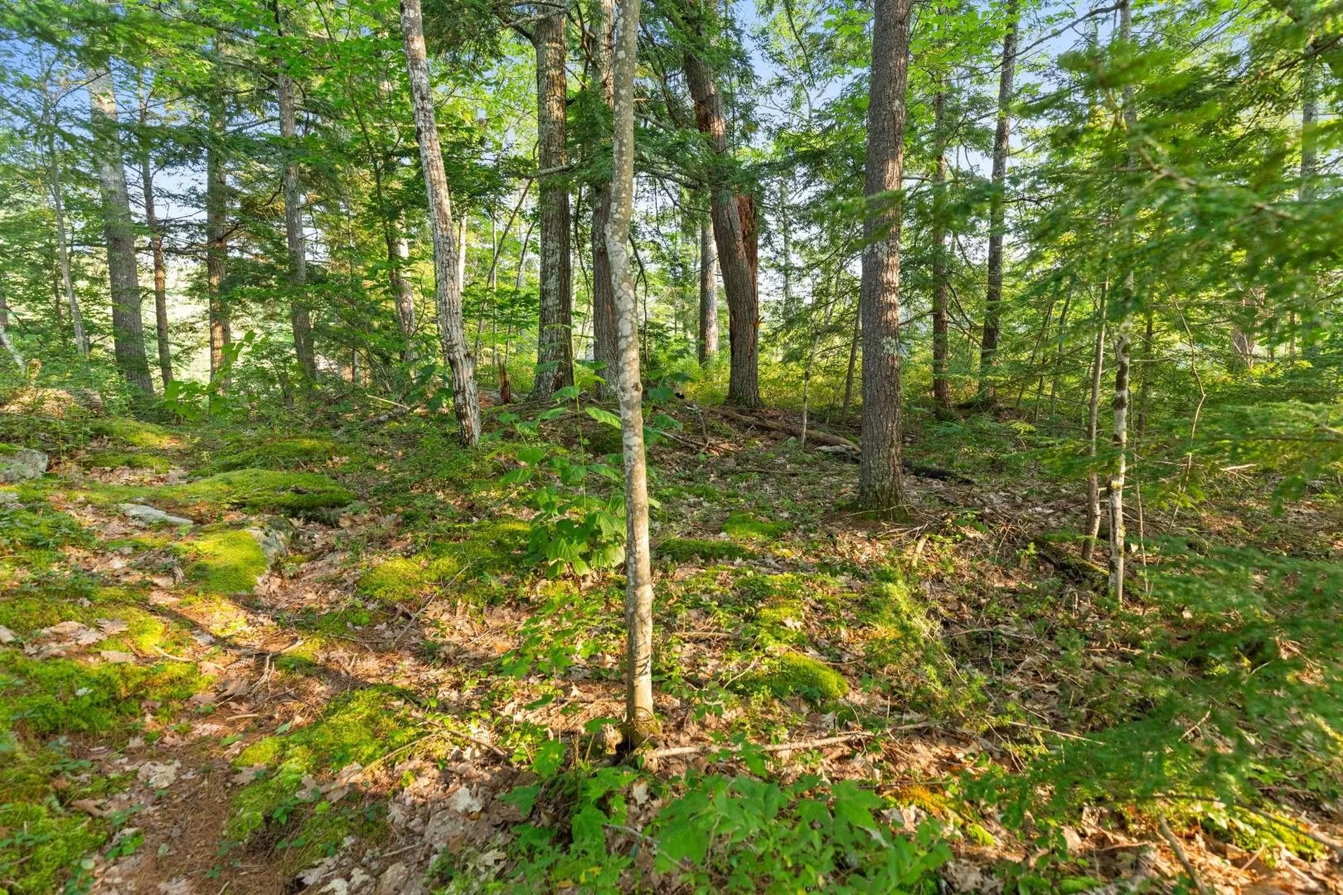 27 First Point Road Moultonborough NH 03254