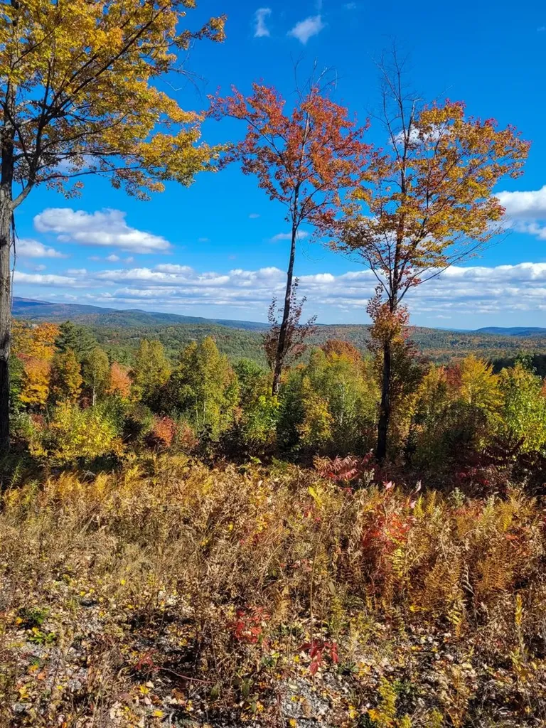 0 Meadow Road Newbury NH 03255