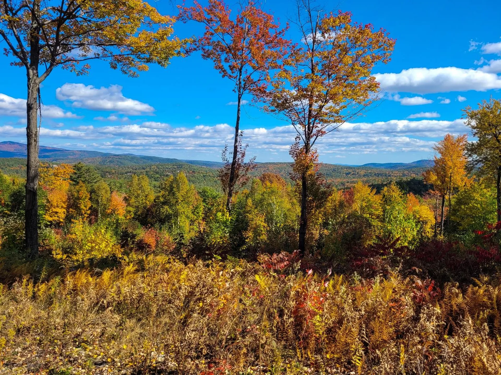 0 Meadow Road Newbury NH 03255