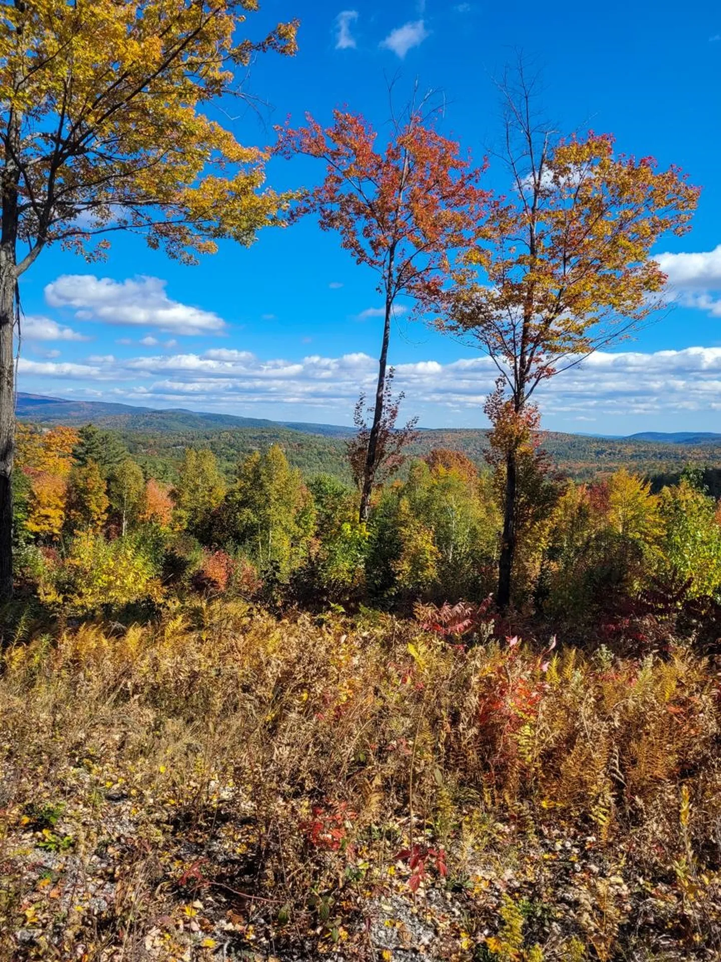 0 Meadow Road Newbury NH 03255