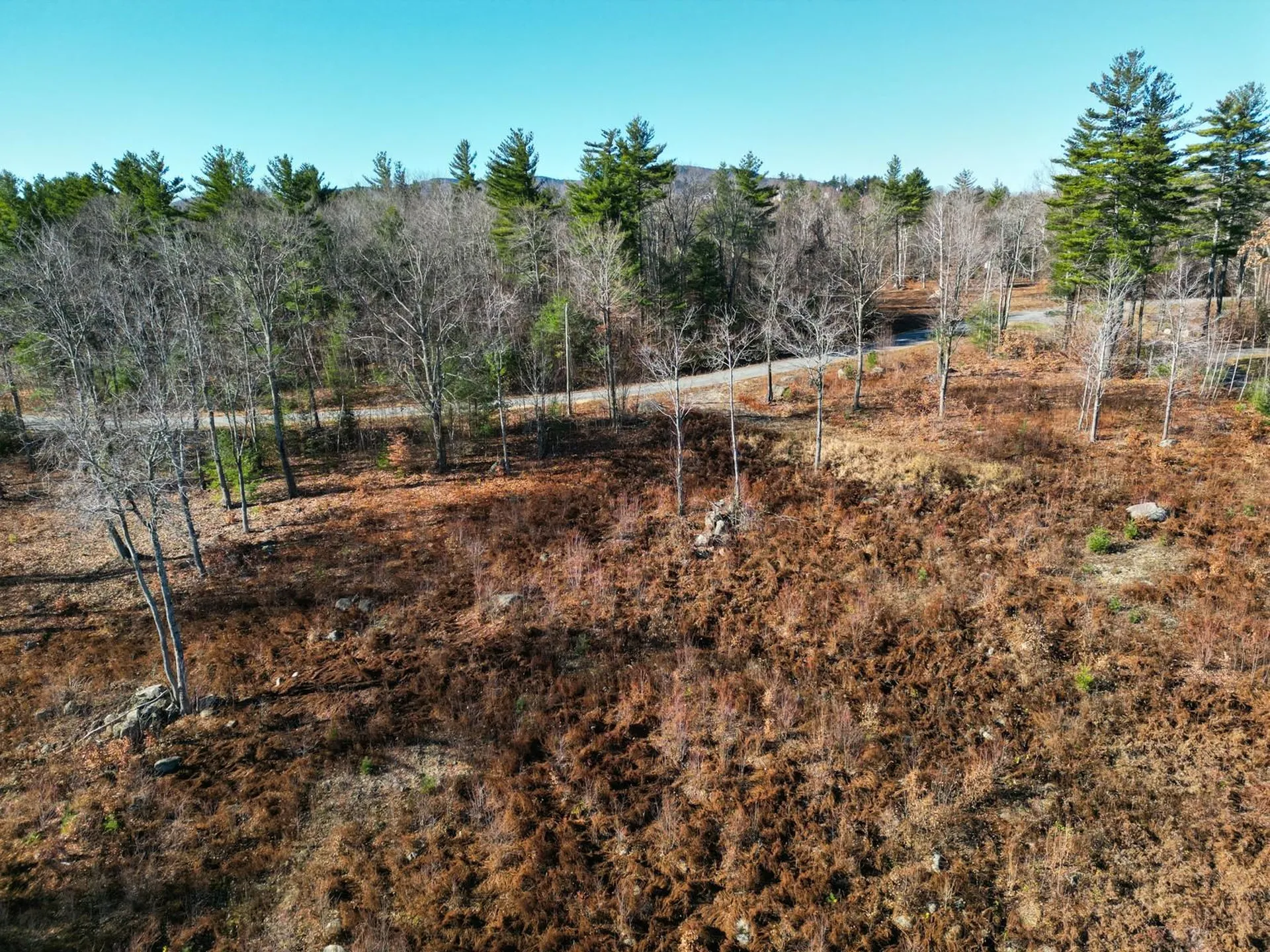 0 Meadow Road Newbury NH 03255