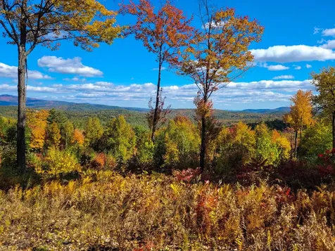 0 Meadow Road Newbury NH 03255