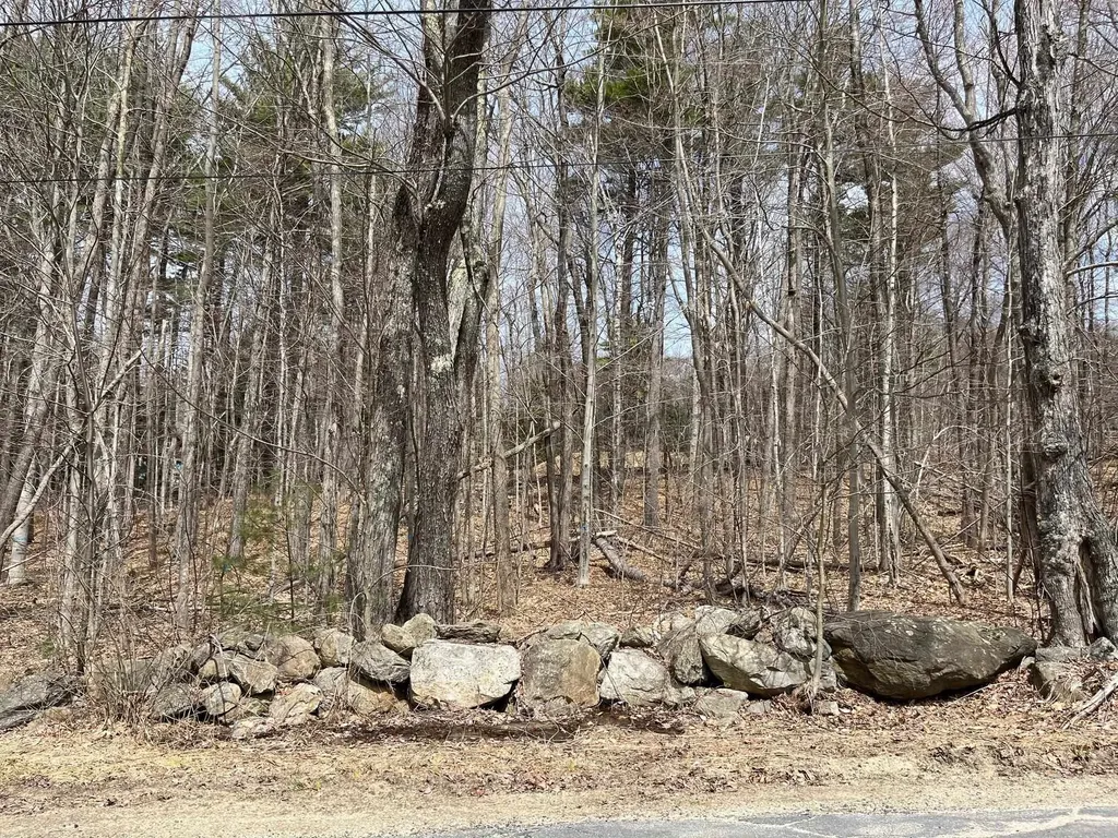 Brown Road Wolfeboro NH 03894