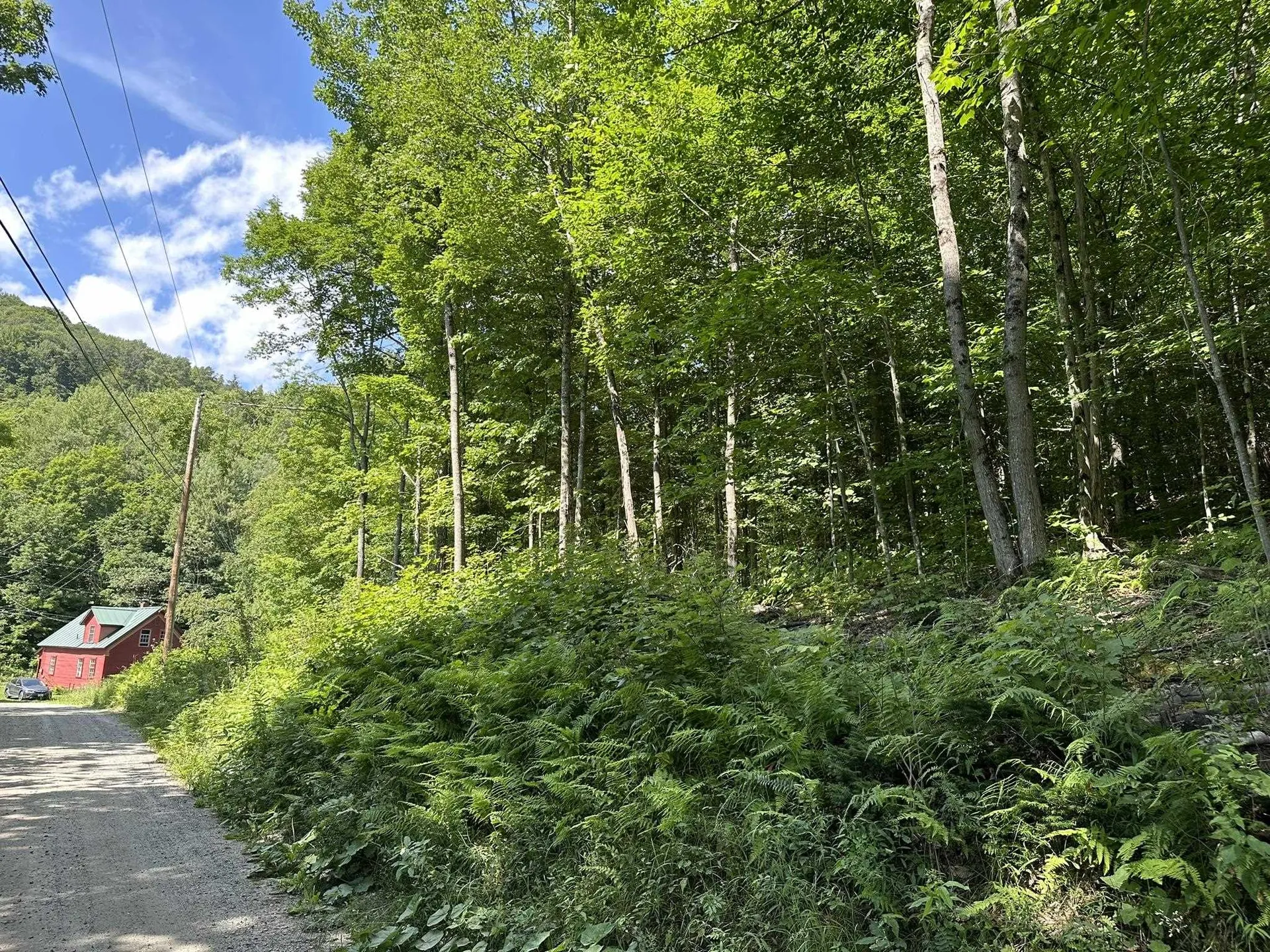 0 Dog Pond Road Woodbury VT 05680