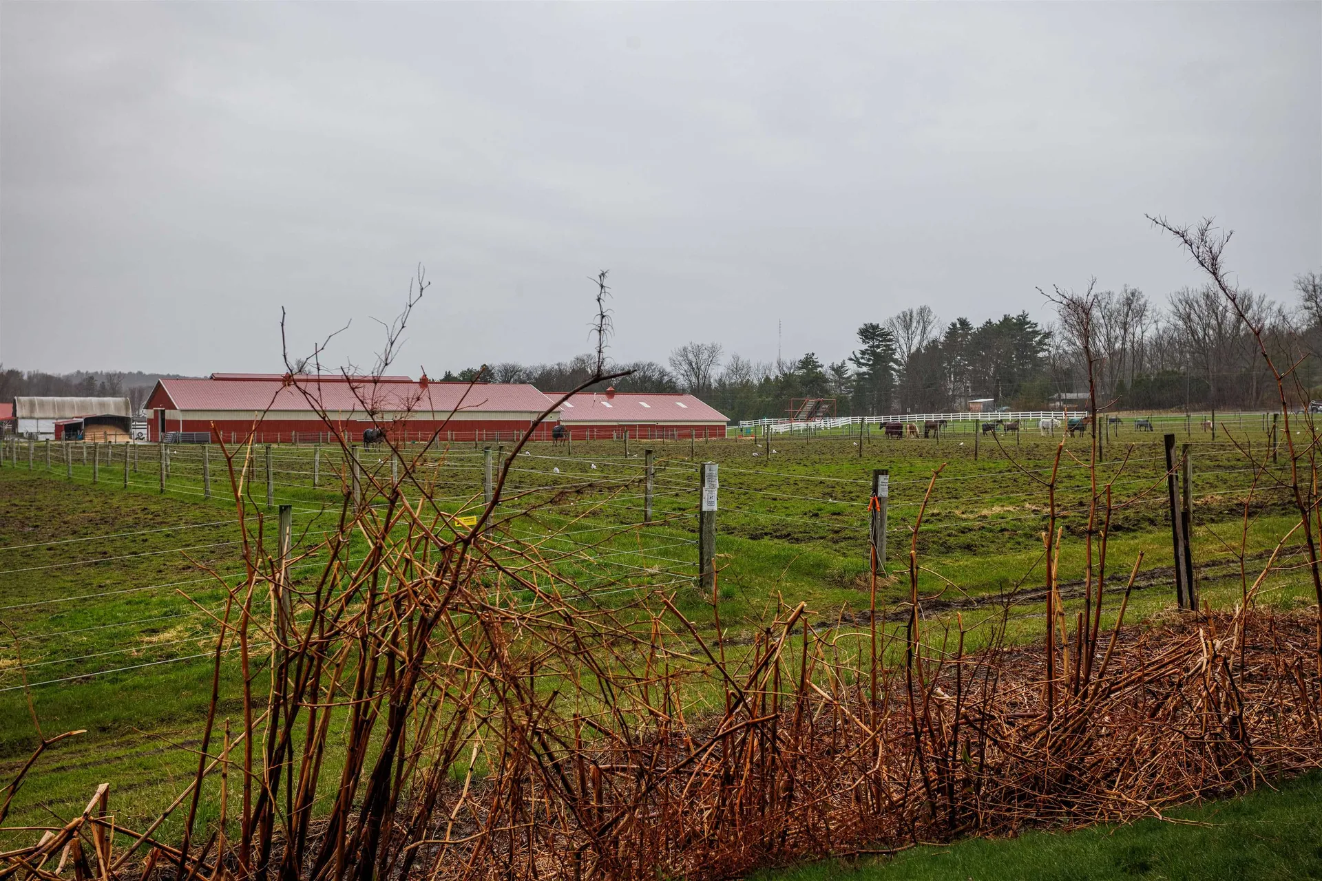92 Quarry Hill Road South Burlington VT 05403