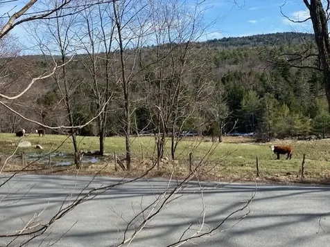 502 Lacross Road Springfield VT 05156