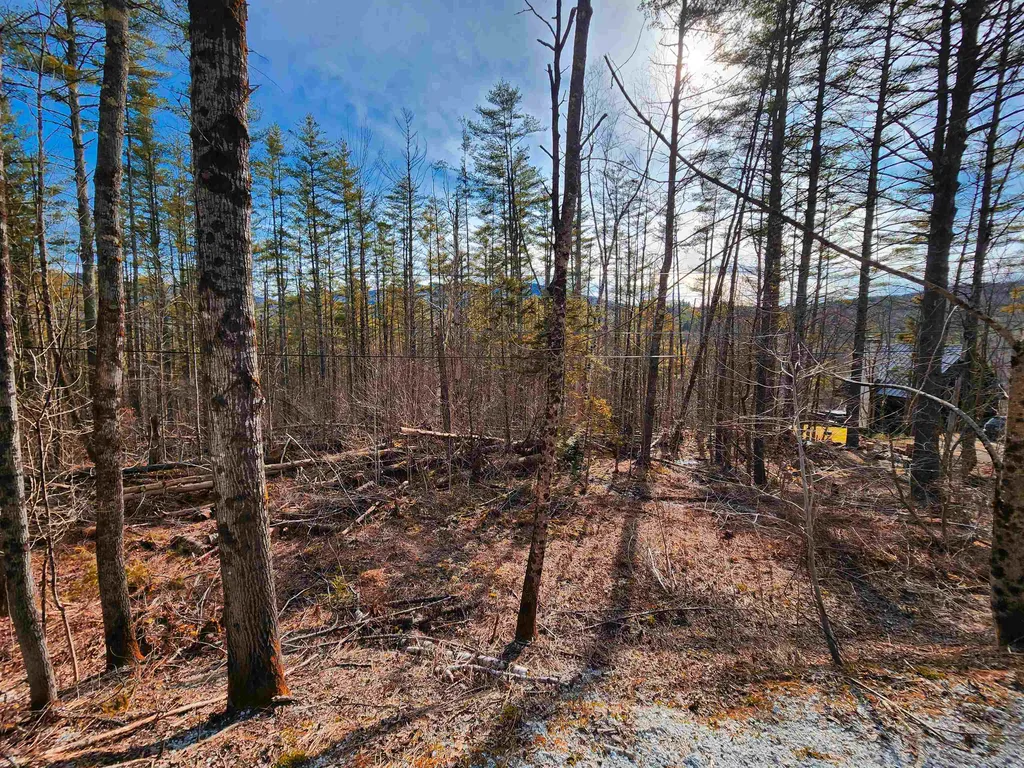 212 Forest Lane Rochester VT 05767