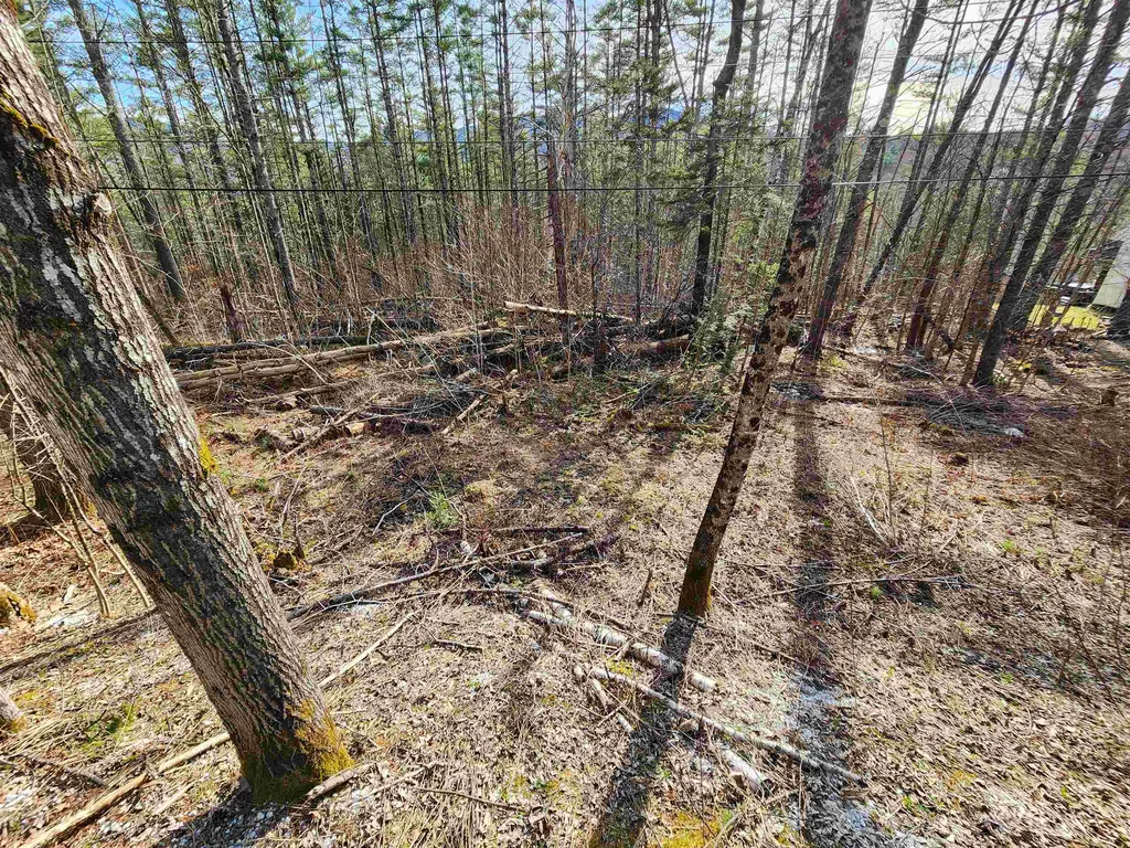212 Forest Lane Rochester VT 05767