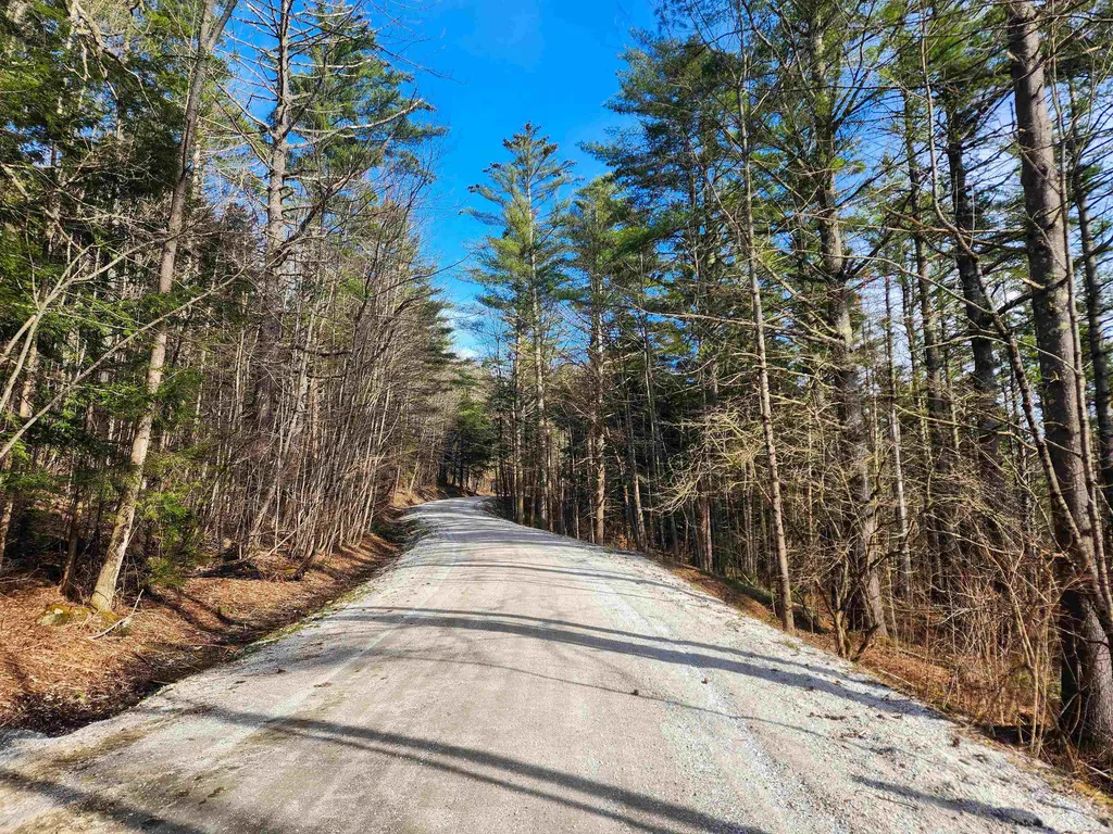 212 Forest Lane Rochester VT 05767