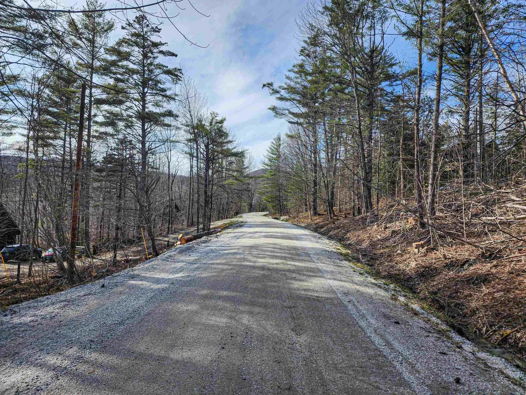 212 Forest Lane Rochester VT 05767