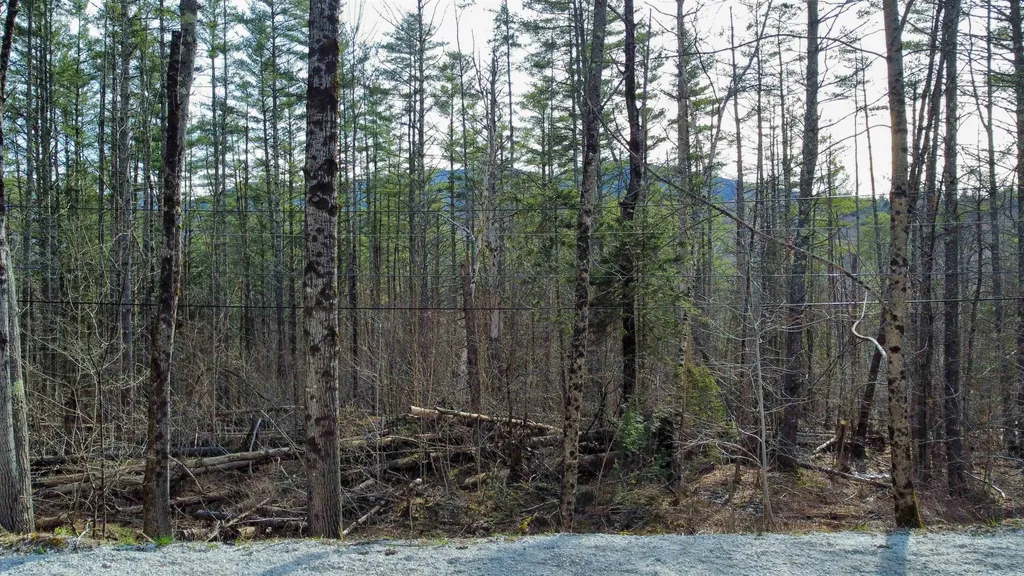 212 Forest Lane Rochester VT 05767