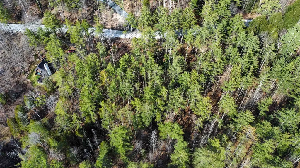 212 Forest Lane Rochester VT 05767