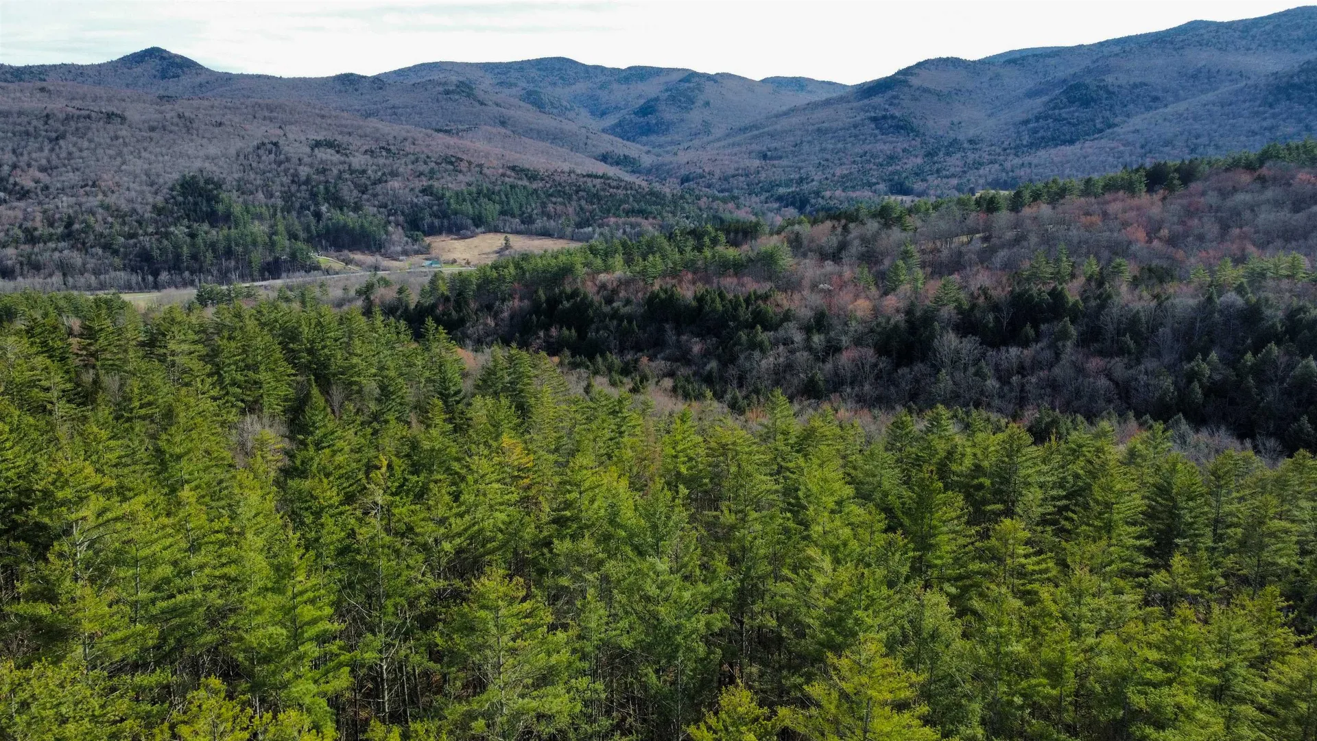 212 Forest Lane Rochester VT 05767