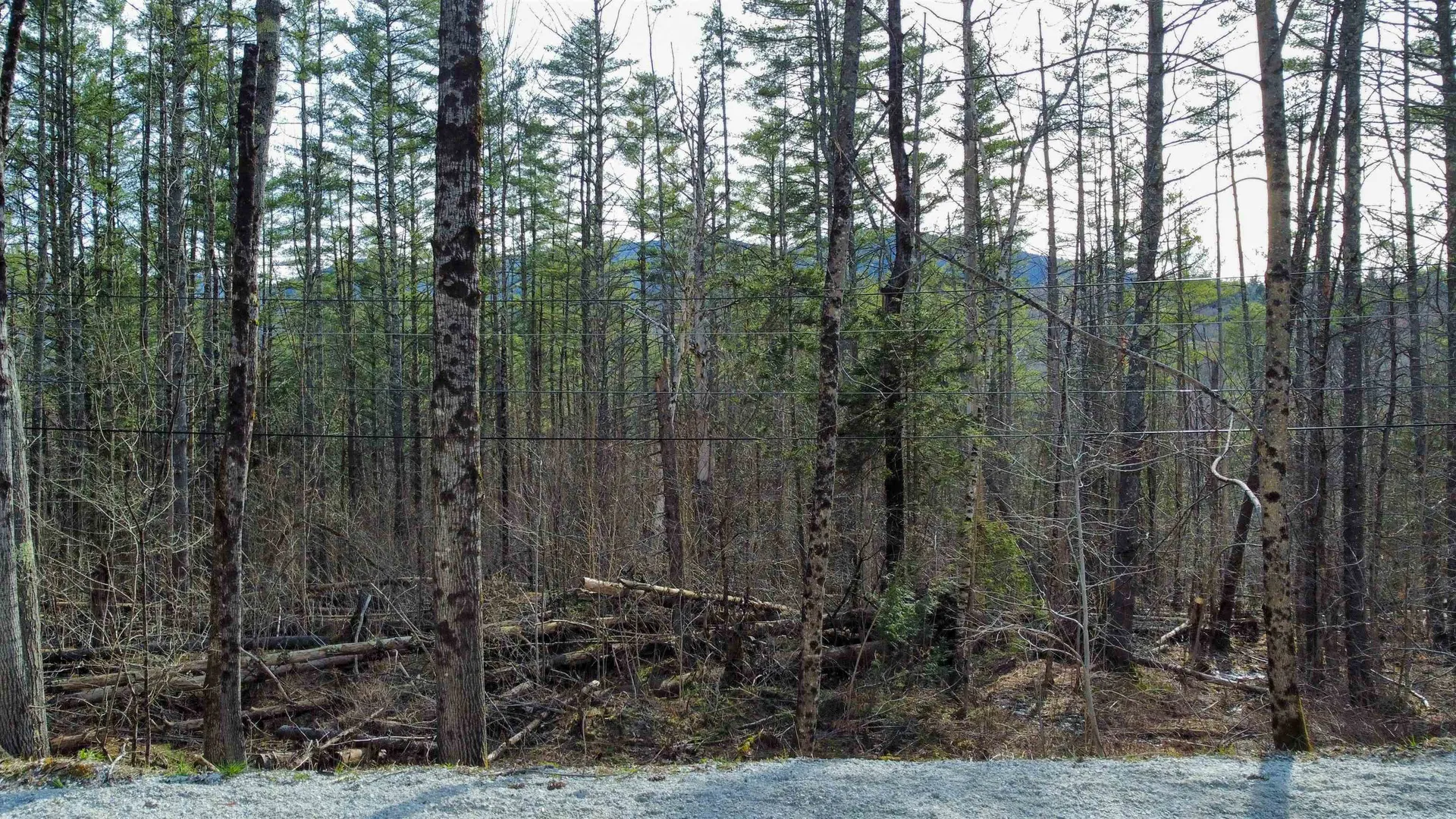 212 Forest Lane Rochester VT 05767