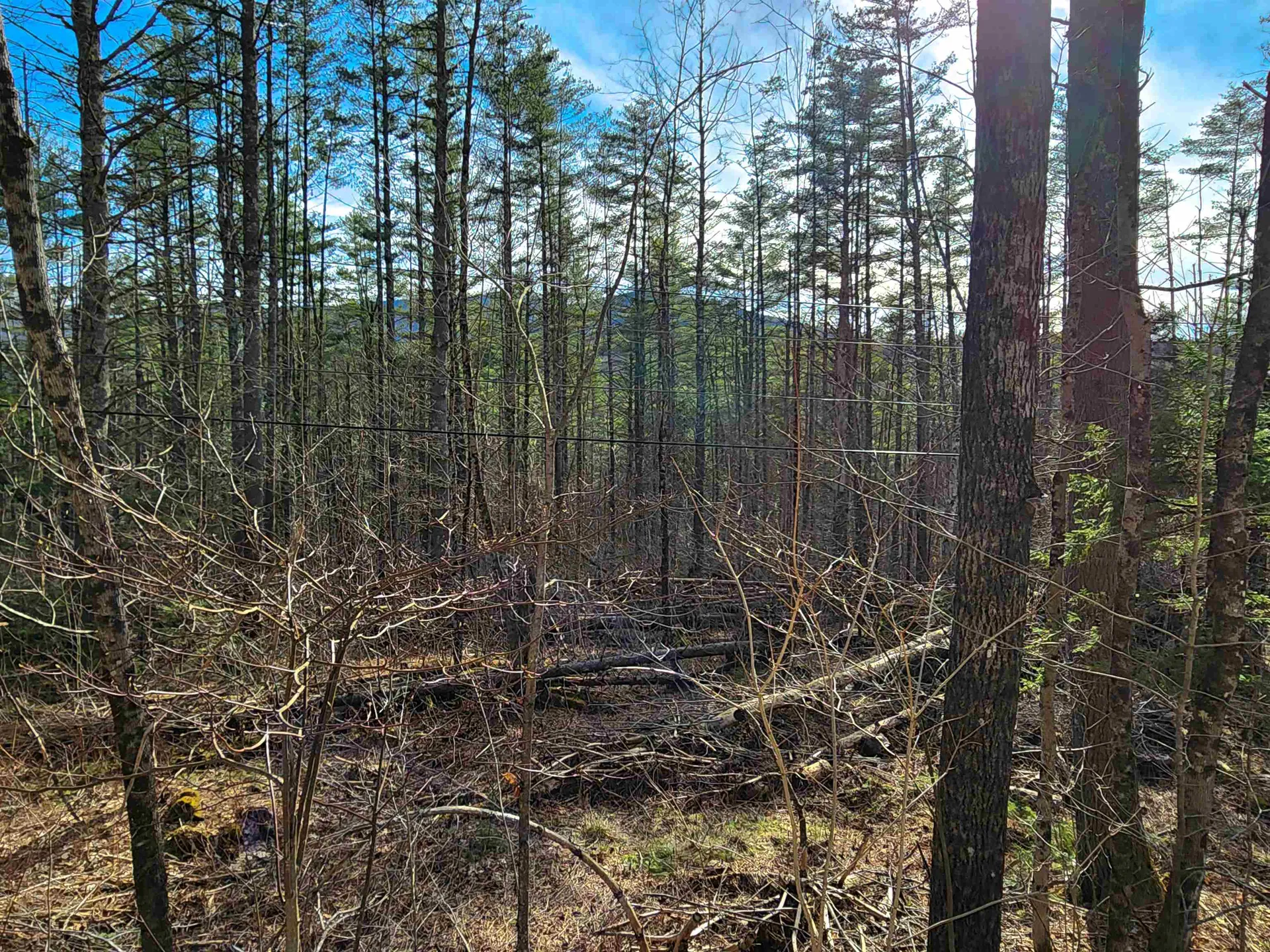 212 Forest Lane Rochester VT 05767