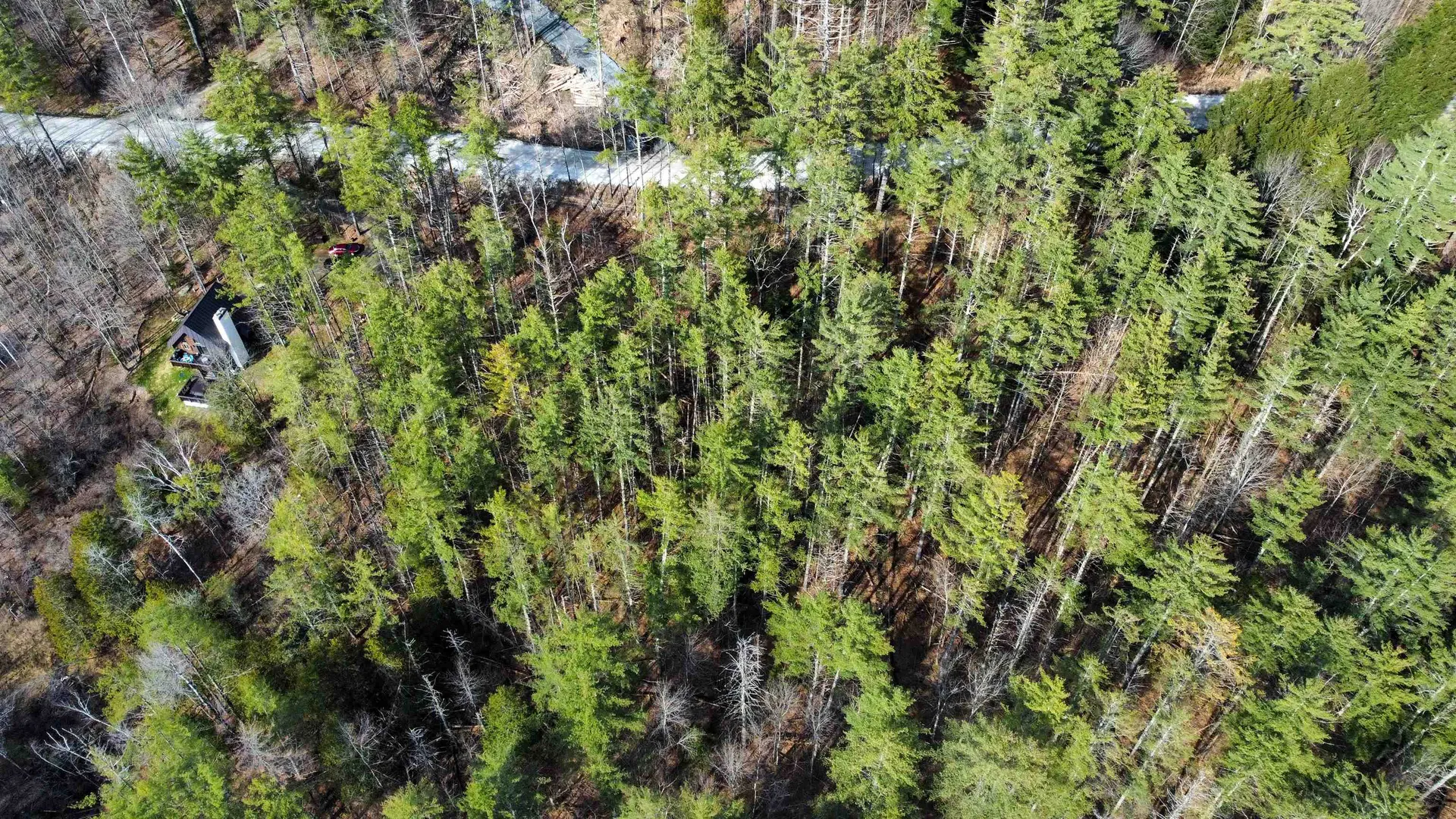 212 Forest Lane Rochester VT 05767