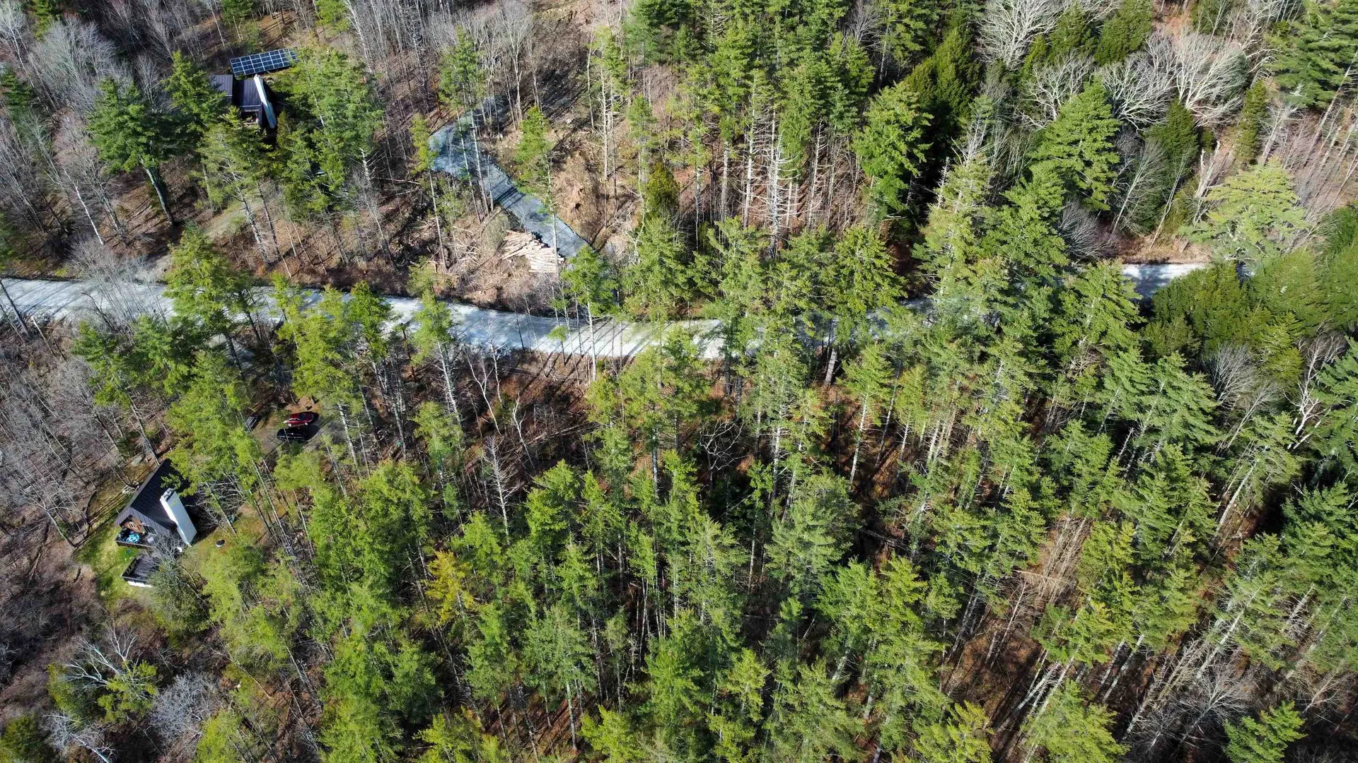 212 Forest Lane Rochester VT 05767