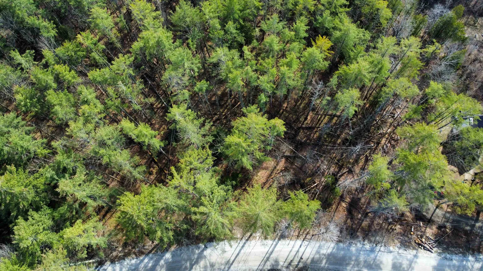 212 Forest Lane Rochester VT 05767