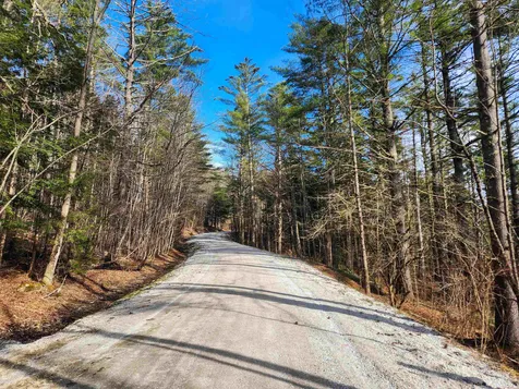212 Forest Lane Rochester VT 05767