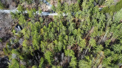 212 Forest Lane Rochester VT 05767