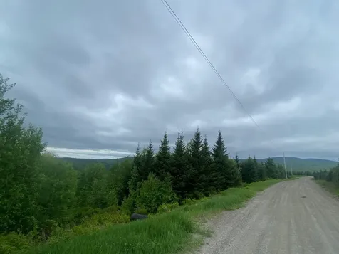 Todd Hill Road Lemington VT 05903