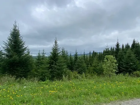 Todd Hill Road Lemington VT 05903