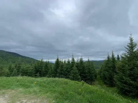 Todd Hill Road Lemington VT 05903