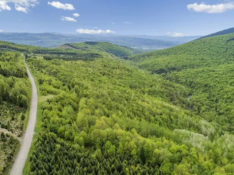 Todd Hill Road Lemington VT 05903