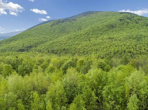 Todd Hill Road Lemington VT 05903