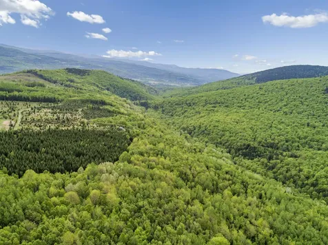 Todd Hill Road Lemington VT 05903