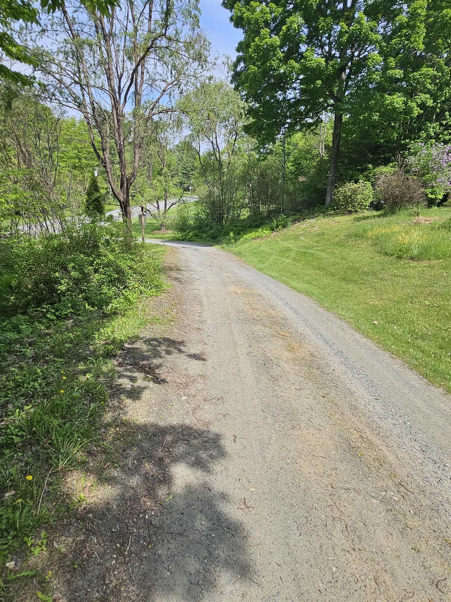 786 Willow Brook Road Plainfield NH 03781