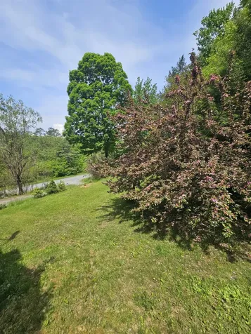 786 Willow Brook Road Plainfield NH 03781